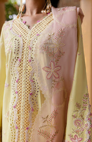 Qalamkar - Qline Lawn'25 By Qalamkar Embroidered Suits Unstitched 3 Piece - Summer Collection - aubranz.com