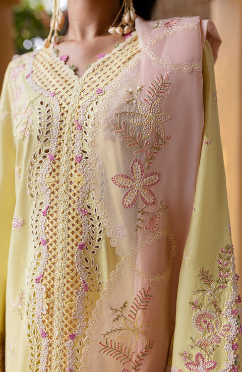 Qalamkar - Qline Lawn'25 By Qalamkar Embroidered Suits Unstitched 3 Piece - Summer Collection - aubranz.com