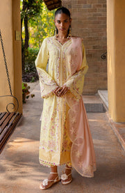 Qalamkar - Qline Lawn'25 By Qalamkar Embroidered Suits Unstitched 3 Piece - Summer Collection - aubranz.com