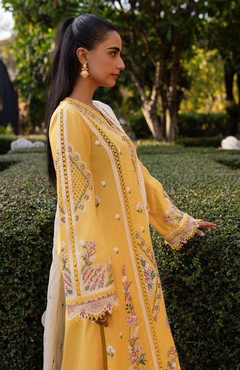 Qalamkar - Qline Lawn'25 By Qalamkar Embroidered Suits Unstitched 3 Piece - Summer Collection - aubranz.com