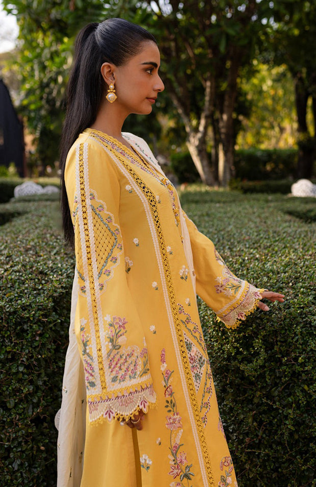 Qalamkar - Qline Lawn'25 By Qalamkar Embroidered Suits Unstitched 3 Piece - Summer Collection - aubranz.com