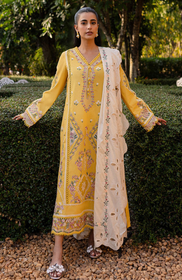 Qalamkar - Qline Lawn'25 By Qalamkar Embroidered Suits Unstitched 3 Piece - Summer Collection - aubranz.com