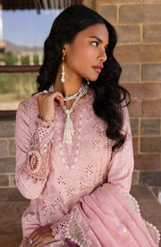 Qalamkar - Qline Lawn'25 By Qalamkar Embroidered Suits Unstitched 3 Piece - Summer Collection - aubranz.com