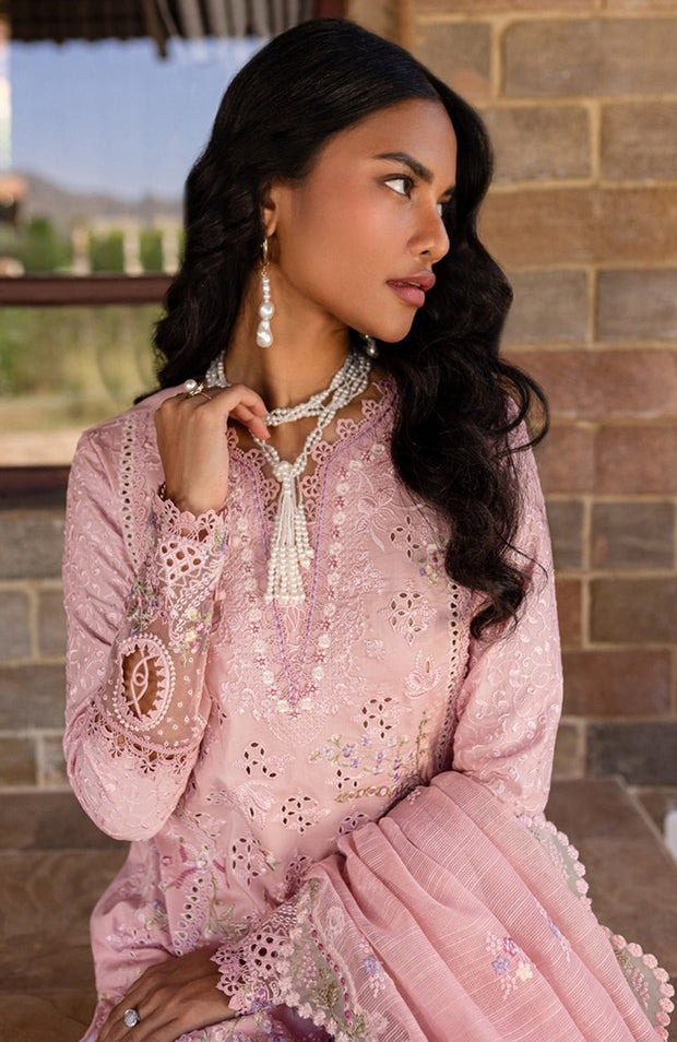 Qalamkar - Qline Lawn'25 By Qalamkar Embroidered Suits Unstitched 3 Piece - Summer Collection - aubranz.com