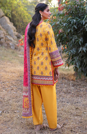 Asimjofa - Asim Jofa Printed Lawn'25 Vol-I Suits Unstitched 3 Piece - Summer Collection - aubranz.com