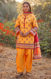 ASIM JOFA PRINTED LAWN ’25 VOL-I – UNSTITCHED 3 PIECE SUIT Summer Collection SKU#AJ28