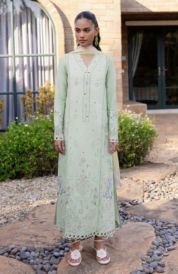 Qalamkar - Qline Lawn'25 By Qalamkar Embroidered Suits Unstitched 3 Piece - Summer Collection - aubranz.com