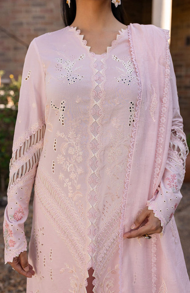 Qalamkar - Qline Lawn'25 By Qalamkar Embroidered Suits Unstitched 3 Piece - Summer Collection - aubranz.com