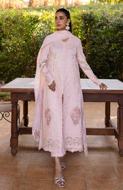 Qalamkar - Qline Lawn'25 By Qalamkar Embroidered Suits Unstitched 3 Piece - Summer Collection - aubranz.com