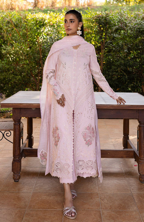 Qalamkar - Qline Lawn'25 By Qalamkar Embroidered Suits Unstitched 3 Piece - Summer Collection - aubranz.com
