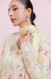 Qalamkar - Q Prints Vol II'25 by Qalamkar Printed Lawn Suits Unstitched 3 Piece - Summer Collection - aubranz.com