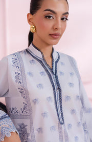 Qalamkar - Q Prints Vol II'25 by Qalamkar Printed Lawn Suits Unstitched 3 Piece - Summer Collection - aubranz.com