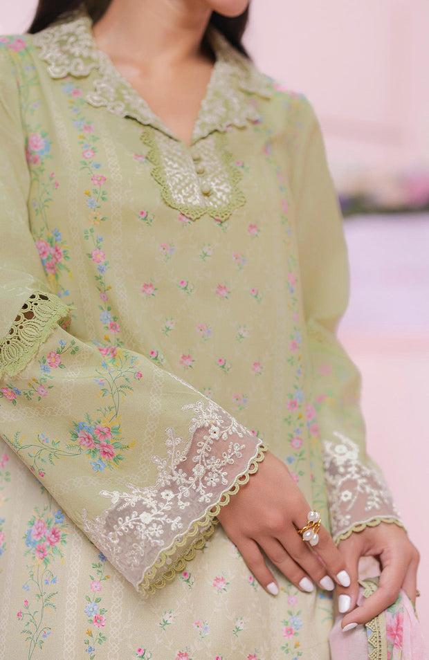 Qalamkar - Q Prints Vol II'25 by Qalamkar Printed Lawn Suits Unstitched 3 Piece - Summer Collection - aubranz.com