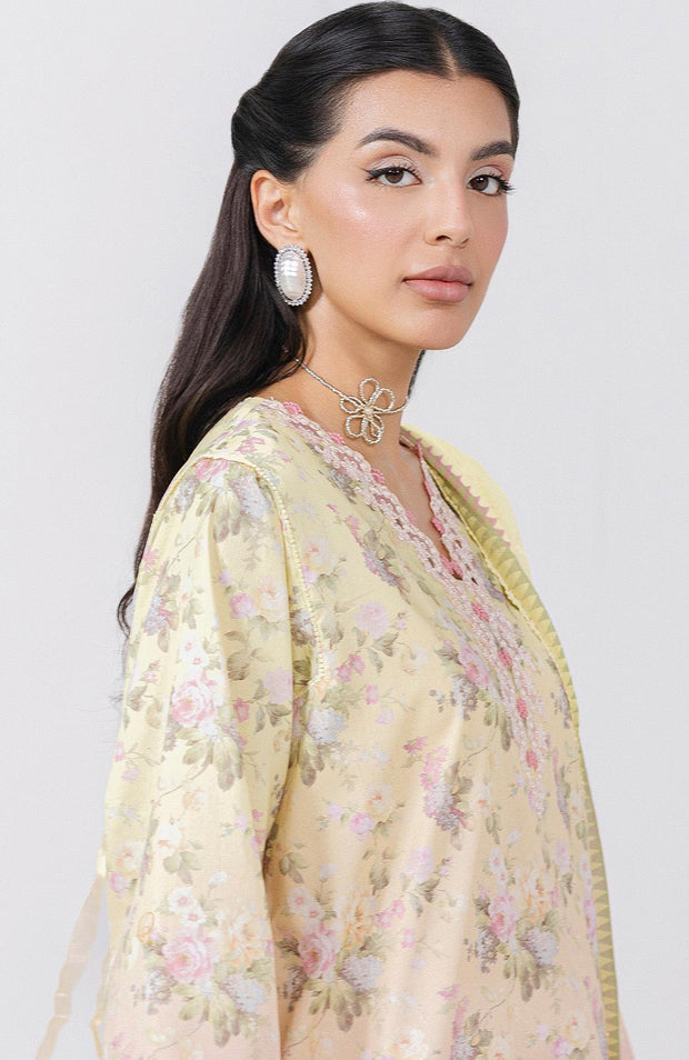 Qalamkar - Q Prints Vol II'25 by Qalamkar Printed Lawn Suits Unstitched 3 Piece - Summer Collection - aubranz.com