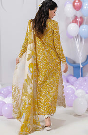 Qalamkar - Q Prints Vol II'25 by Qalamkar Printed Lawn Suits Unstitched 3 Piece - Summer Collection - aubranz.com