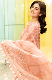 Mariab - Maria B M Basic Vol-1 Printed Lawn Suits Unstitched 3 Piece - Summer Collection - aubranz.com