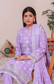Abtextiles - Meerub Ikat Wrinkle Free Collection'25 By Ab Textiles Embroidered Lawn Suit Unstitched 3 Piece - Summer Collection - aubranz.com