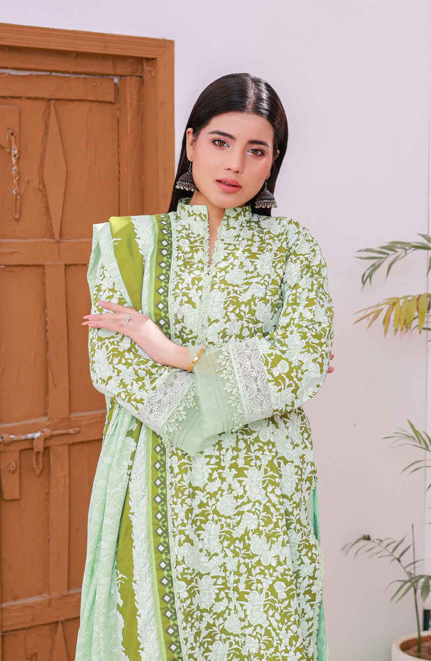 Abtextiles - Meerub Ikat Wrinkle Free Collection'25 By Ab Textiles Embroidered Lawn Suit Unstitched 3 Piece - Summer Collection - aubranz.com