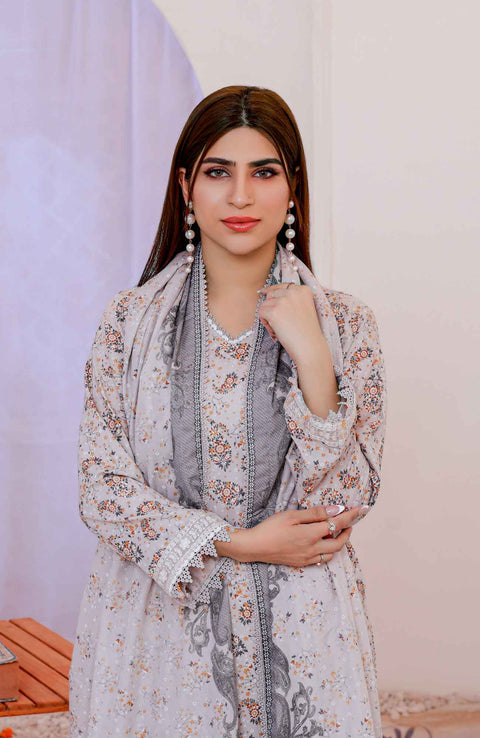 Abtextiles - Meerub Ikat Wrinkle Free Collection'25 By Ab Textiles Embroidered Lawn Suit Unstitched 3 Piece - Summer Collection - aubranz.com