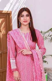 Abtextiles - Meerub Ikat Wrinkle Free Collection'25 By Ab Textiles Embroidered Lawn Suit Unstitched 3 Piece - Summer Collection - aubranz.com