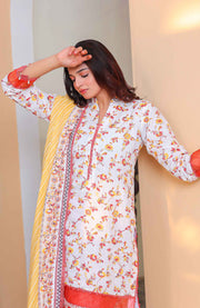Abtextiles - Meerub Ikat Vol 2 Wrinkle Free Collection'25 By Ab Textile Embroidered Lawn Suit Unstitched 3 Piece - Summer Collection - aubranz.com