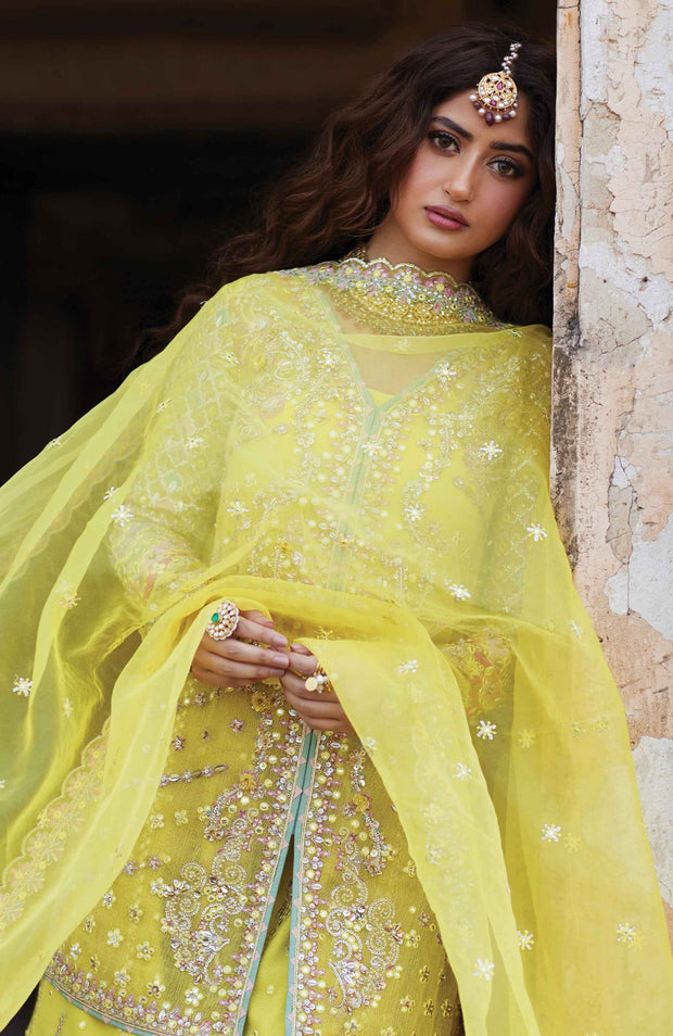 Qalamkar - Qalamkar shadmani raw silk'24 embroidered suits unstitched 3 piece - festive collection - aubranz.com