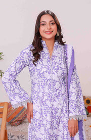 Abtextiles - Meerub Ikat Wrinkle Free Collection'25 By Ab Textiles Embroidered Lawn Suit Unstitched 3 Piece - Summer Collection - aubranz.com