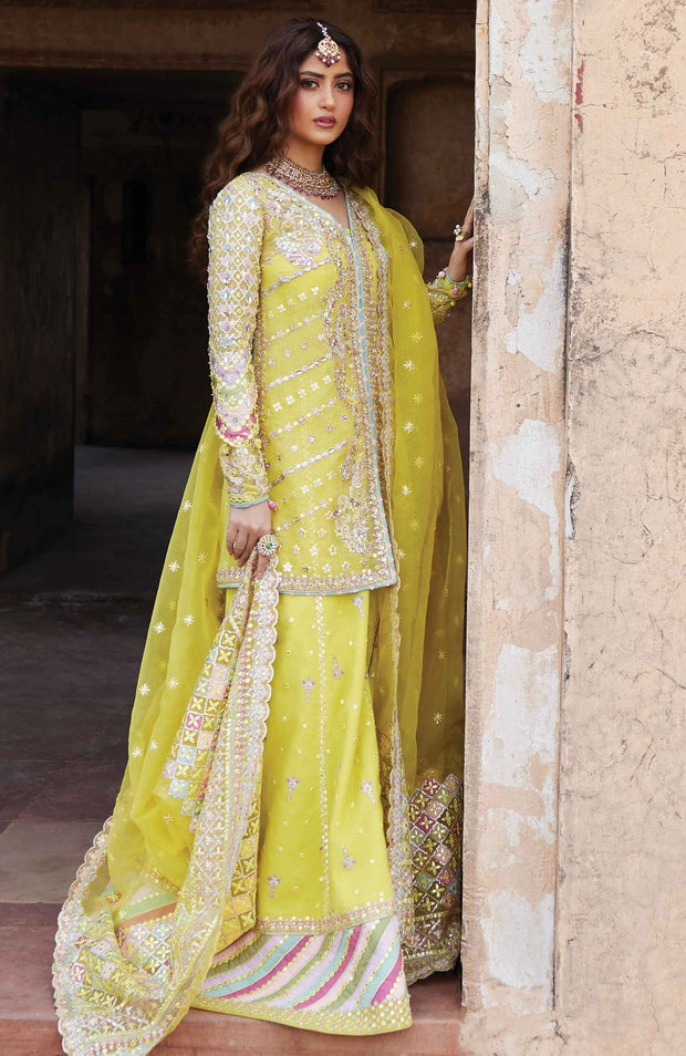 Qalamkar - Qalamkar shadmani raw silk'24 embroidered suits unstitched 3 piece - festive collection - aubranz.com