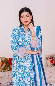 Abtextiles - Meerub Ikat Wrinkle Free Collection'25 By Ab Textiles Embroidered Lawn Suit Unstitched 3 Piece - Summer Collection - aubranz.com