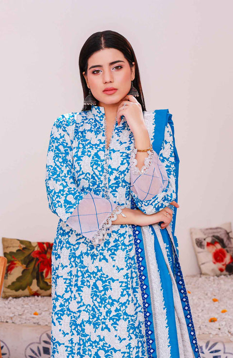 Abtextiles - Meerub Ikat Wrinkle Free Collection'25 By Ab Textiles Embroidered Lawn Suit Unstitched 3 Piece - Summer Collection - aubranz.com