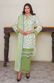 Abtextiles - Meerub Ikat Vol 2 Wrinkle Free Collection'25 By Ab Textile Embroidered Lawn Suit Unstitched 3 Piece - Summer Collection - aubranz.com