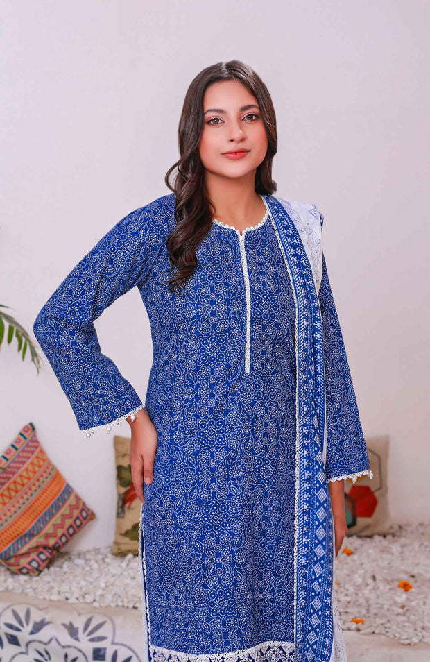 Abtextiles - Meerub Ikat Wrinkle Free Collection'25 By Ab Textiles Embroidered Lawn Suit Unstitched 3 Piece - Summer Collection - aubranz.com