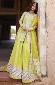 Qalamkar - Qalamkar shadmani raw silk'24 embroidered suits unstitched 3 piece - festive collection - aubranz.com