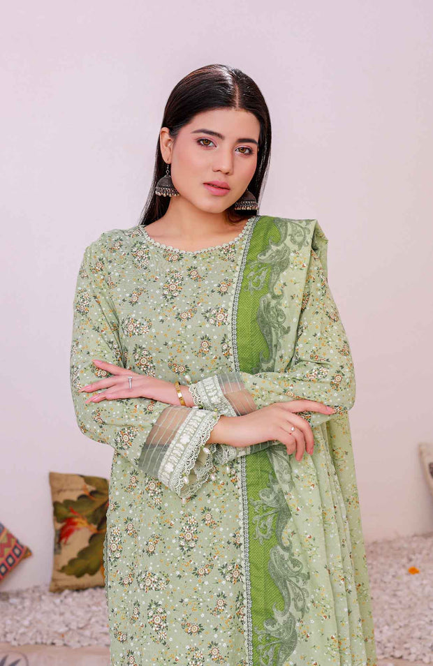 Abtextiles - Meerub Ikat Wrinkle Free Collection'25 By Ab Textiles Embroidered Lawn Suit Unstitched 3 Piece - Summer Collection - aubranz.com