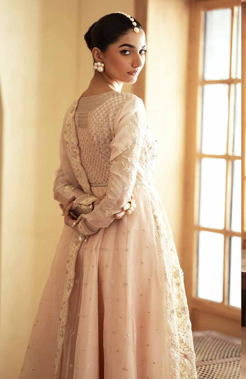 Emanadeel - Romansiyyah Luxury'24 By Emaan Adeel Suit Unstitched 3 Piece Formal Collection - aubranz.com