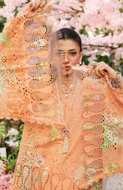 Mariab - MPrint Eid Edit'25 By Maria B Embroidered Lawn Suits Unstitched 3 Piece - Summer Collection - aubranz.com