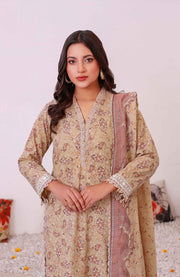 Abtextiles - Meerub Ikat Wrinkle Free Collection'25 By Ab Textiles Embroidered Lawn Suit Unstitched 3 Piece - Summer Collection - aubranz.com