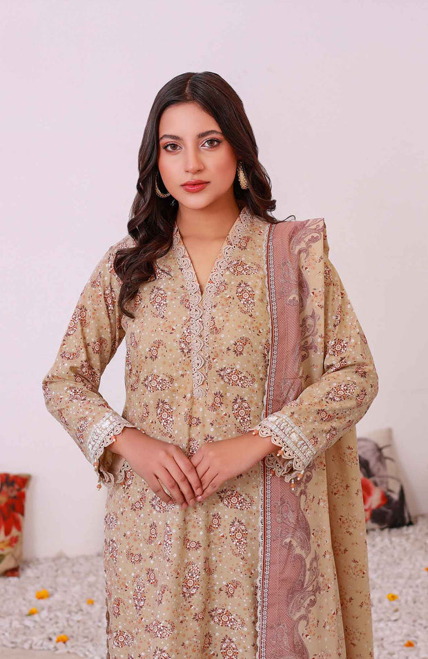 Abtextiles - Meerub Ikat Wrinkle Free Collection'25 By Ab Textiles Embroidered Lawn Suit Unstitched 3 Piece - Summer Collection - aubranz.com