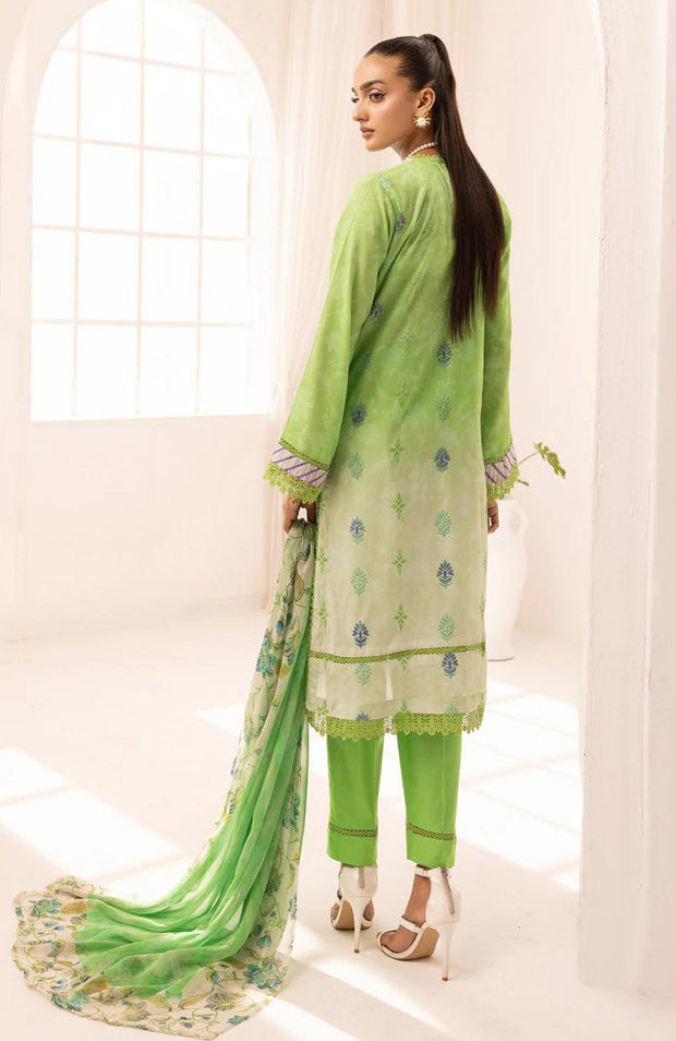 Nur - RANG NAGAR V2 mbroidered & Printed Lawn Collection By Nur - aubranz.com