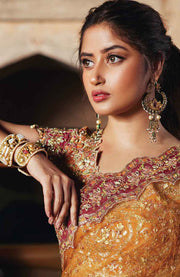 Qalamkar - Qalamkar shadmani raw silk'24 embroidered suits unstitched 3 piece - festive collection - aubranz.com