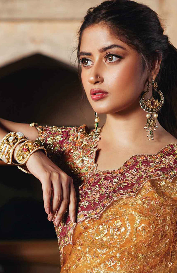 Qalamkar - Qalamkar shadmani raw silk'24 embroidered suits unstitched 3 piece - festive collection - aubranz.com