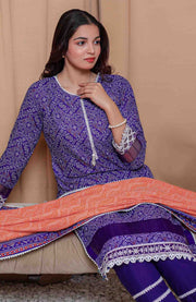 Abtextiles - Meerub Ikat Vol 2 Wrinkle Free Collection'25 By Ab Textile Embroidered Lawn Suit Unstitched 3 Piece - Summer Collection - aubranz.com