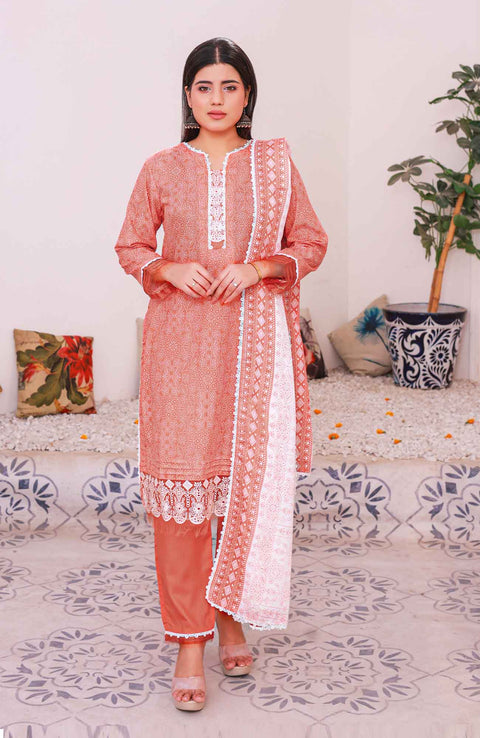 Abtextiles - Meerub Ikat Wrinkle Free Collection'25 By Ab Textiles Embroidered Lawn Suit Unstitched 3 Piece - Summer Collection - aubranz.com
