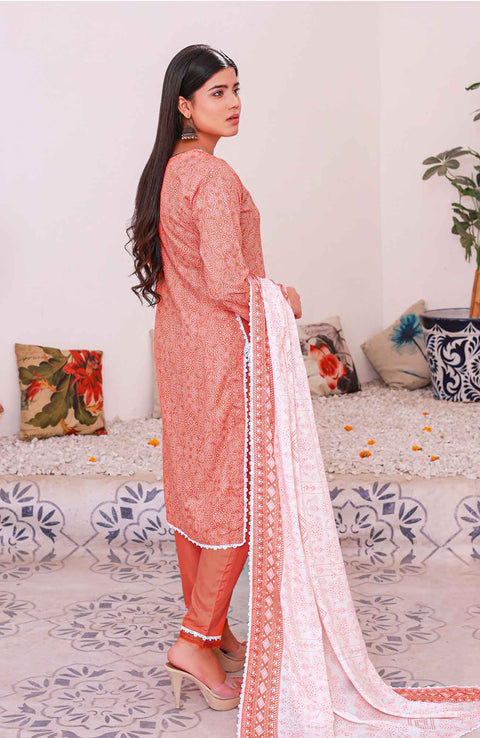 Abtextiles - Meerub Ikat Wrinkle Free Collection'25 By Ab Textiles Embroidered Lawn Suit Unstitched 3 Piece - Summer Collection - aubranz.com