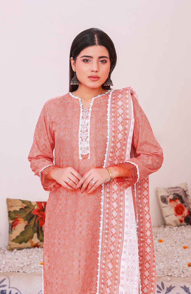 Abtextiles - Meerub Ikat Wrinkle Free Collection'25 By Ab Textiles Embroidered Lawn Suit Unstitched 3 Piece - Summer Collection - aubranz.com