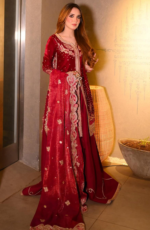 Qalamkar - Qalamkar Embroidered Velvet Suits Unstitched 3 Piece - Winter Collection - aubranz.com