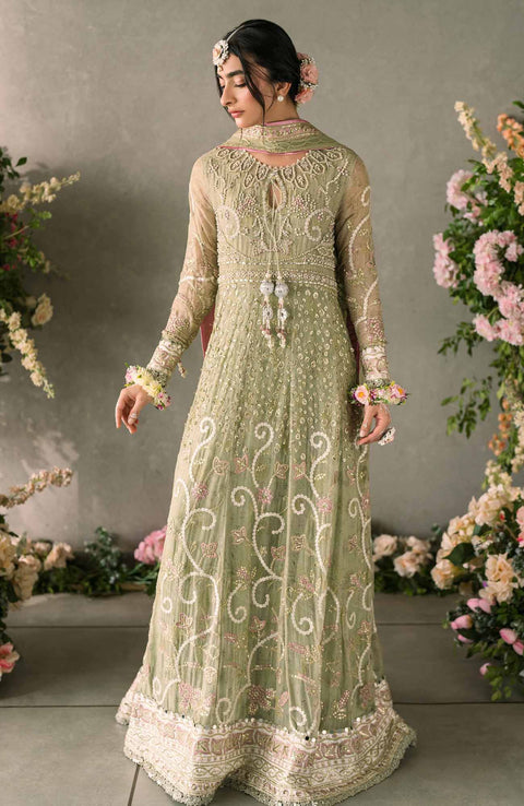 Mushq - Mastani Evening Luxury Chiffon'24 By Mushq Formal Suit Unstitched 3 Piece - aubranz.com