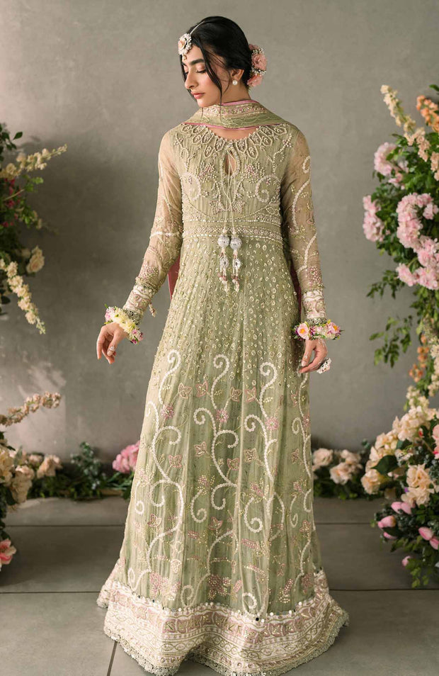 Mushq - Mastani Evening Luxury Chiffon'24 By Mushq Formal Suit Unstitched 3 Piece - aubranz.com
