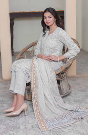 Abtextiles - Meerub Ikat Vol 2 Wrinkle Free Collection'25 By Ab Textile Embroidered Lawn Suit Unstitched 3 Piece - Summer Collection - aubranz.com