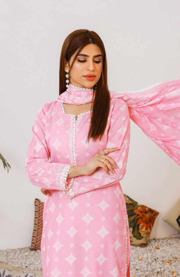 Abtextiles - Meerub Ikat Wrinkle Free Collection'25 By Ab Textiles Embroidered Lawn Suit Unstitched 3 Piece - Summer Collection - aubranz.com